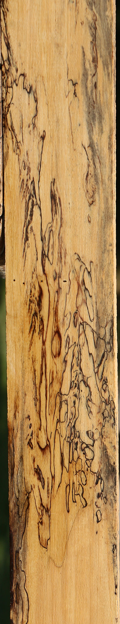 Figured Spalted Tamarind Lumber