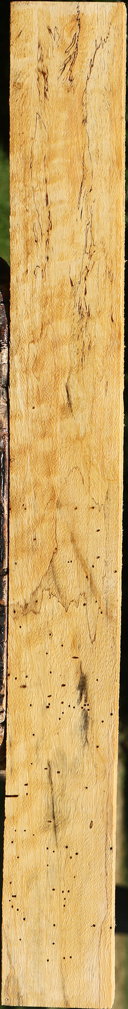 Figured Spalted Tamarind Lumber