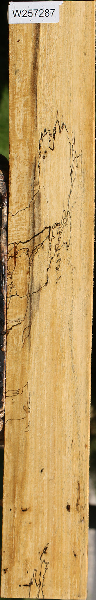 Spalted Tamarind Lumber