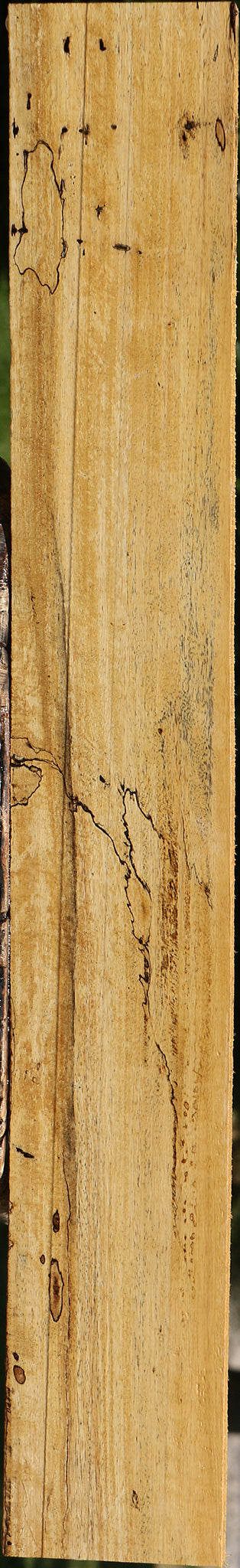 Spalted Tamarind Lumber