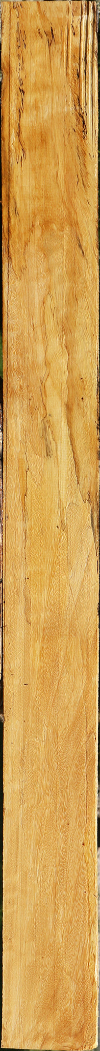 Spalted Tamarind Lumber