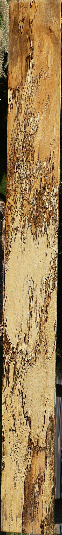 Extra Fancy Spalted Tamarind Lumber