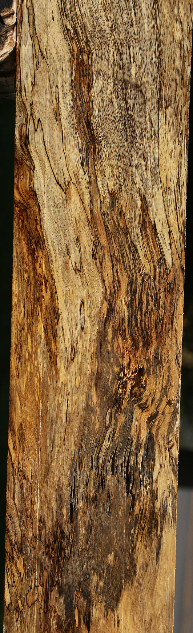 Extra Fancy Spalted Tamarind Lumber