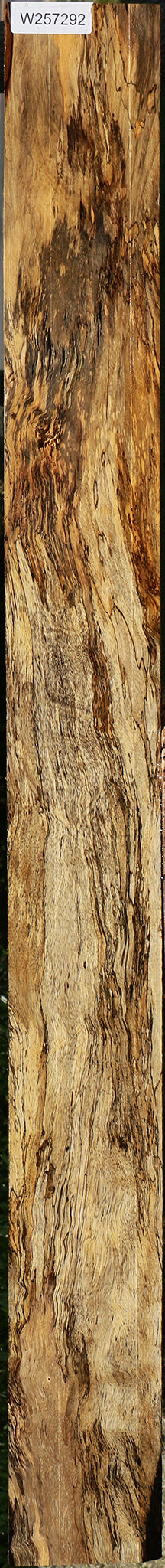 Extra Fancy Spalted Tamarind Lumber