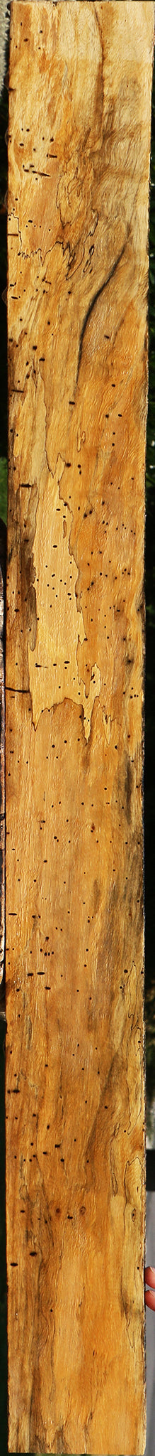 Figured Spalted Tamarind Lumber