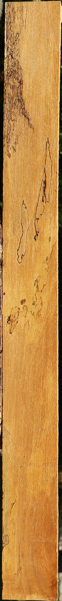 Spalted Tamarind Lumber