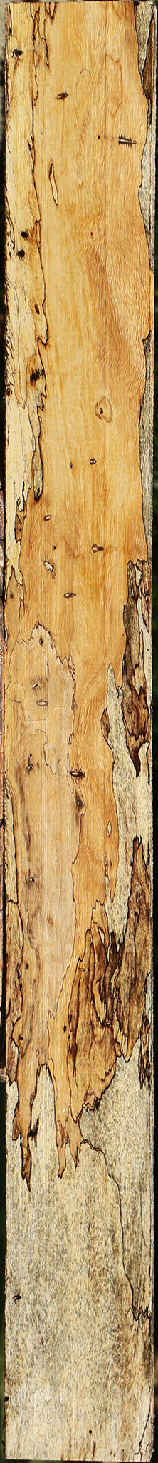 Extra Fancy Spalted Tamarind Lumber