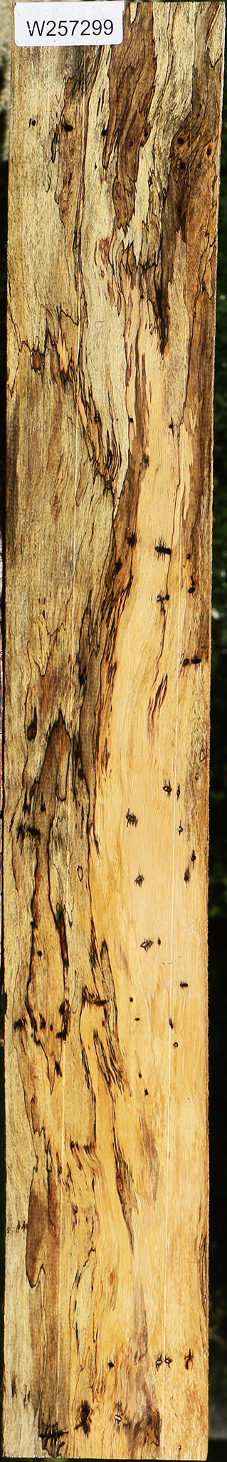 Extra Fancy Spalted Tamarind Lumber