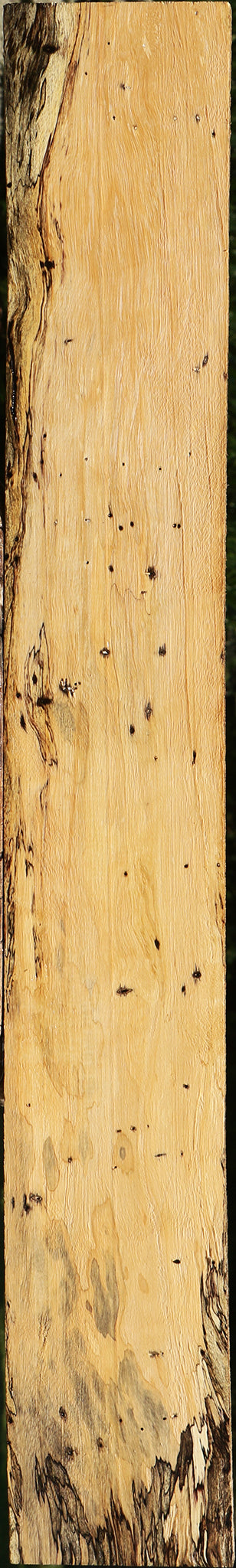 Extra Fancy Spalted Tamarind Lumber