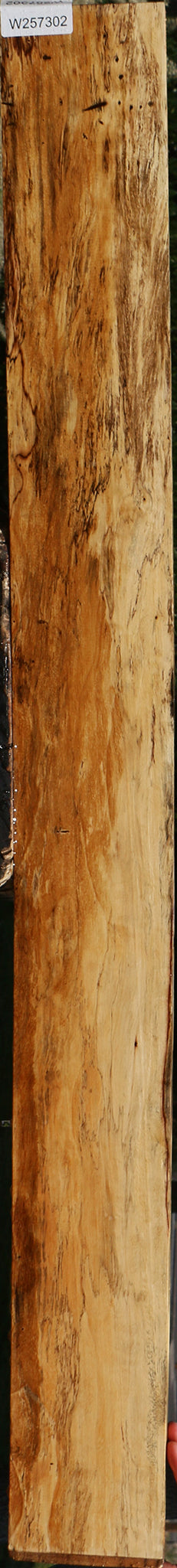Figured Spalted Tamarind Lumber