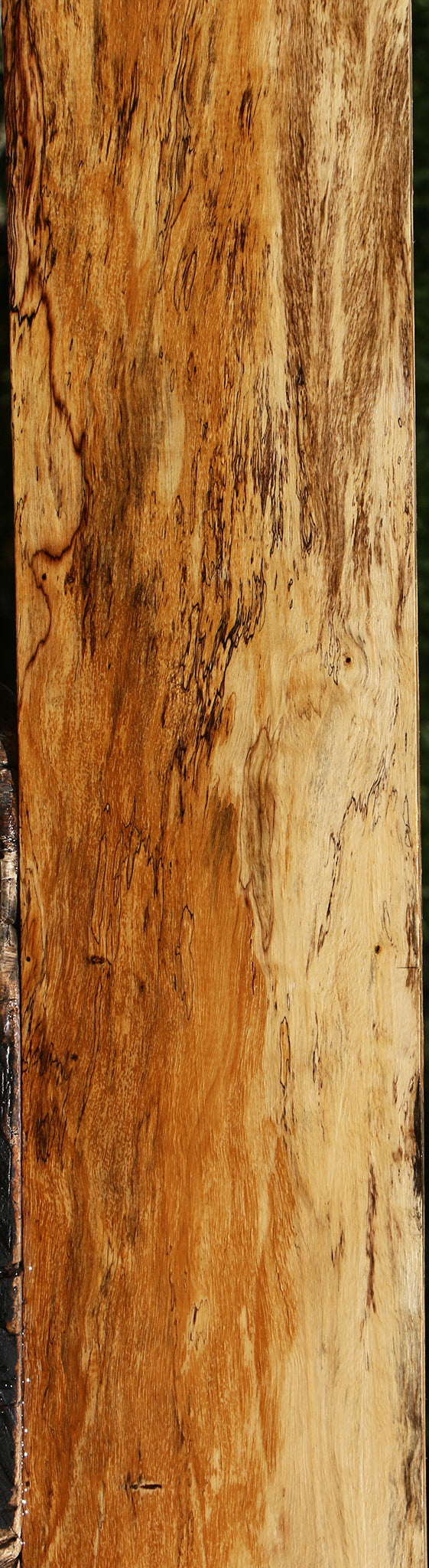 Figured Spalted Tamarind Lumber