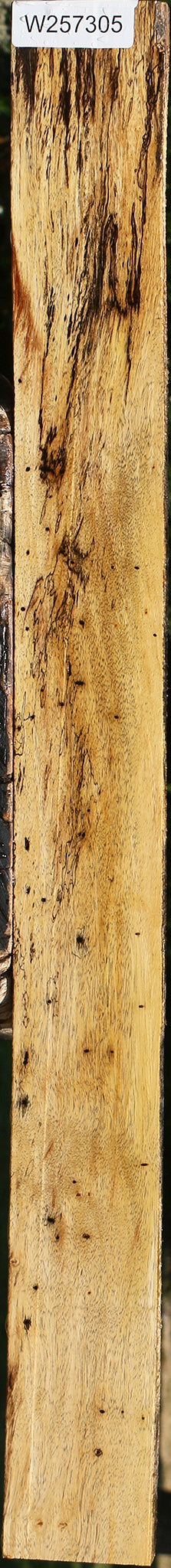 Figured Spalted Tamarind Lumber