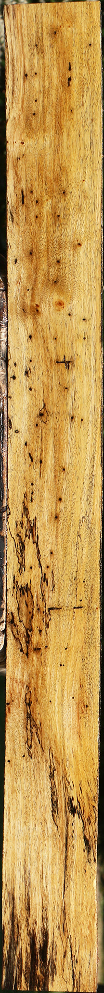 Figured Spalted Tamarind Lumber