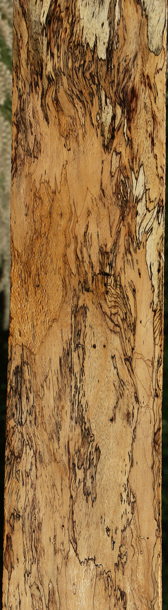 Extra Fancy Spalted Tamarind Lumber