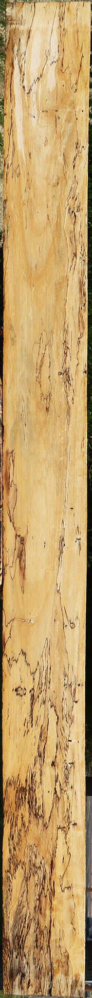 Extra Fancy Spalted Tamarind Lumber