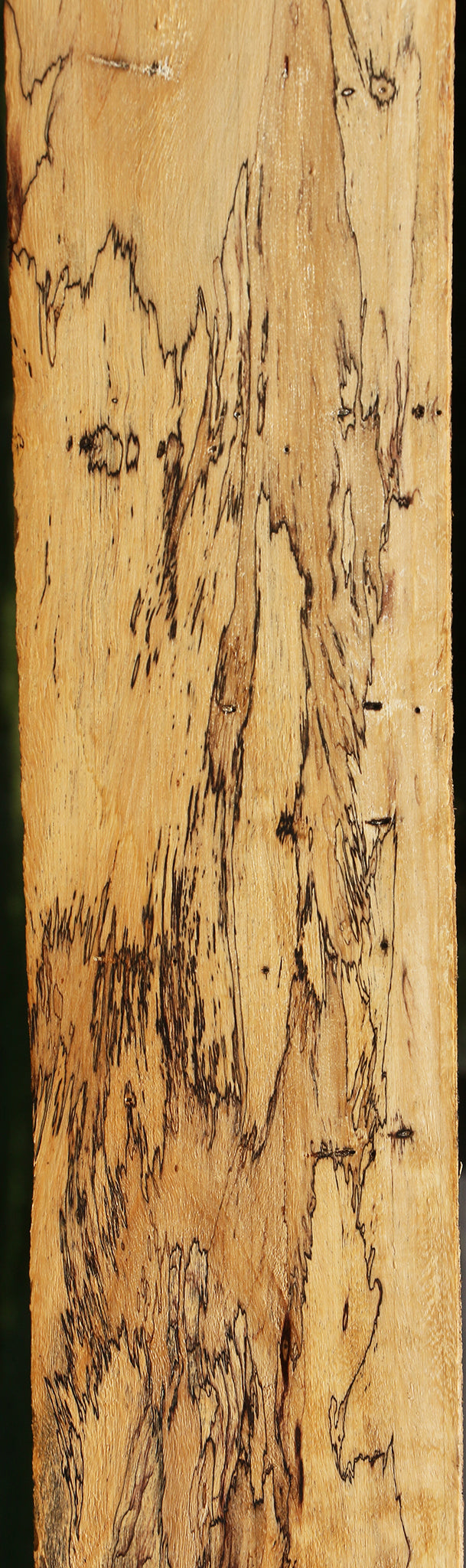 Extra Fancy Spalted Tamarind Lumber