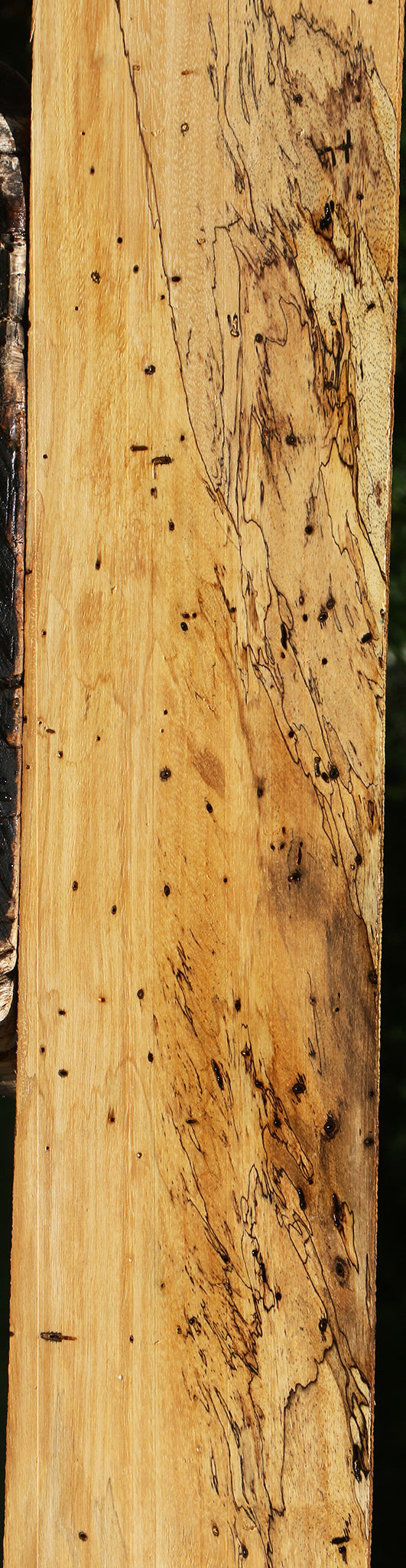 Figured Spalted Tamarind Lumber