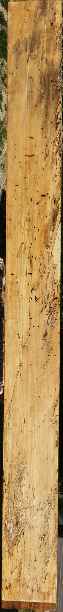 Figured Spalted Tamarind Lumber