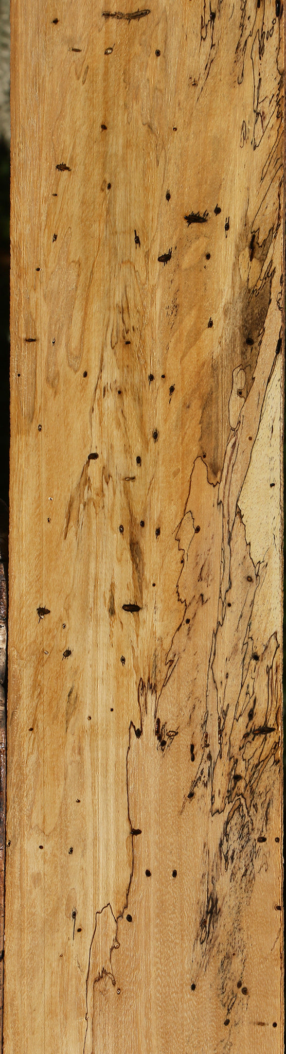 Figured Spalted Tamarind Lumber