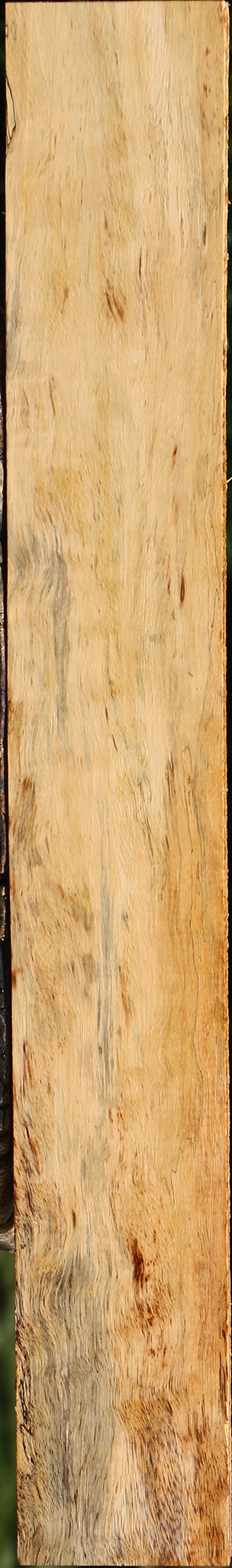 Spalted Tamarind Lumber