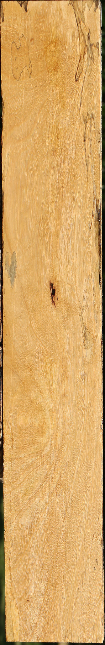 Spalted Tamarind Lumber