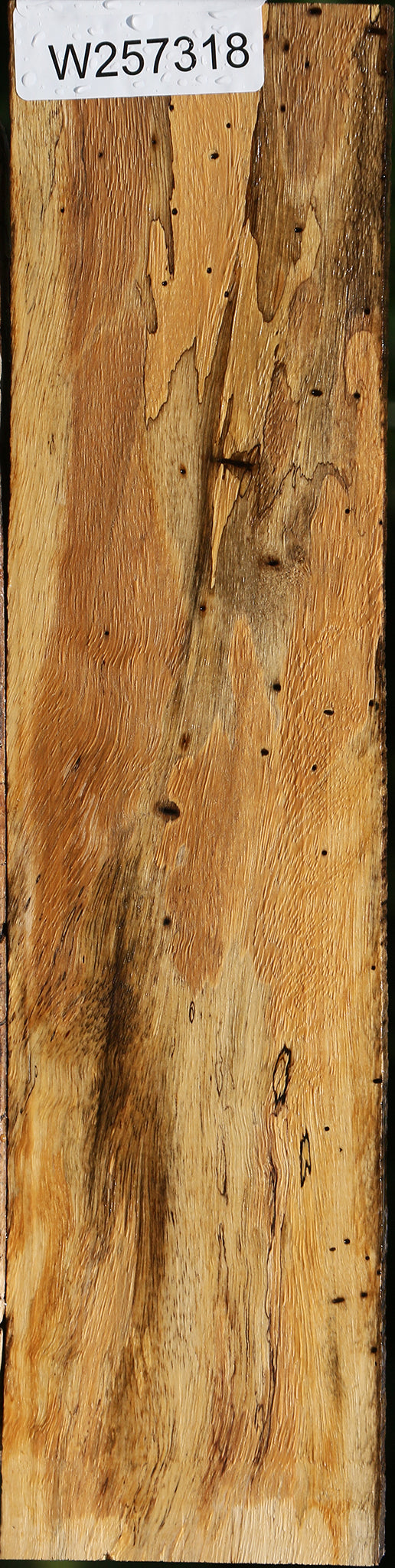 Extra Fancy Spalted Tamarind Lumber