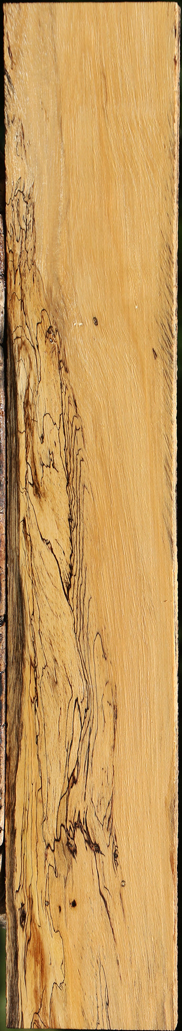 Extra Fancy Spalted Tamarind Lumber