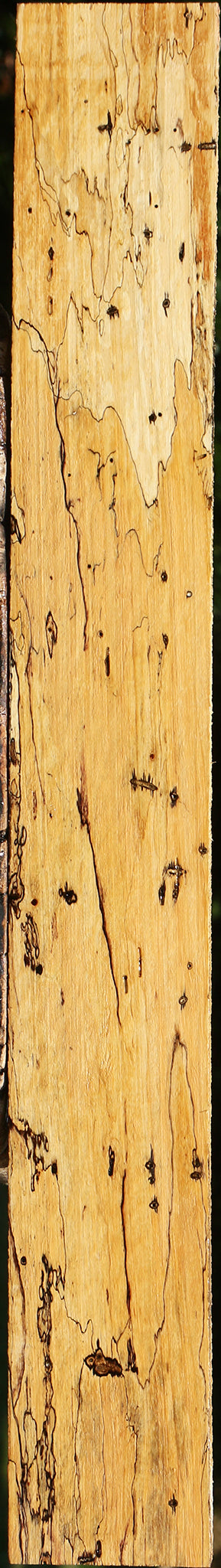 Figured Spalted Tamarind Lumber
