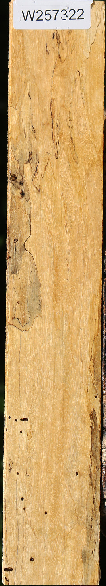 Spalted Tamarind Lumber