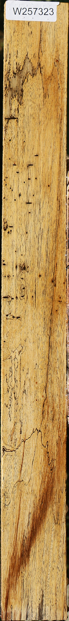 Spalted Tamarind Lumber