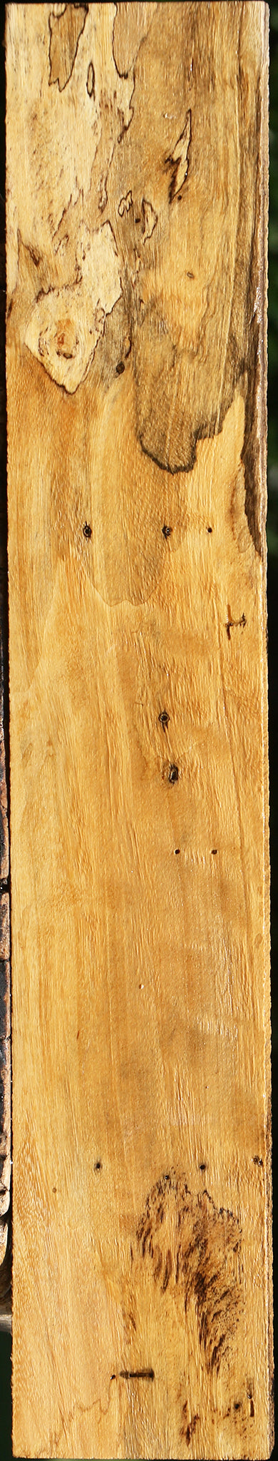 Spalted Tamarind Lumber