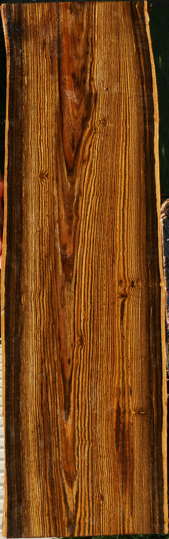 Figured Bocote Live Edge Lumber