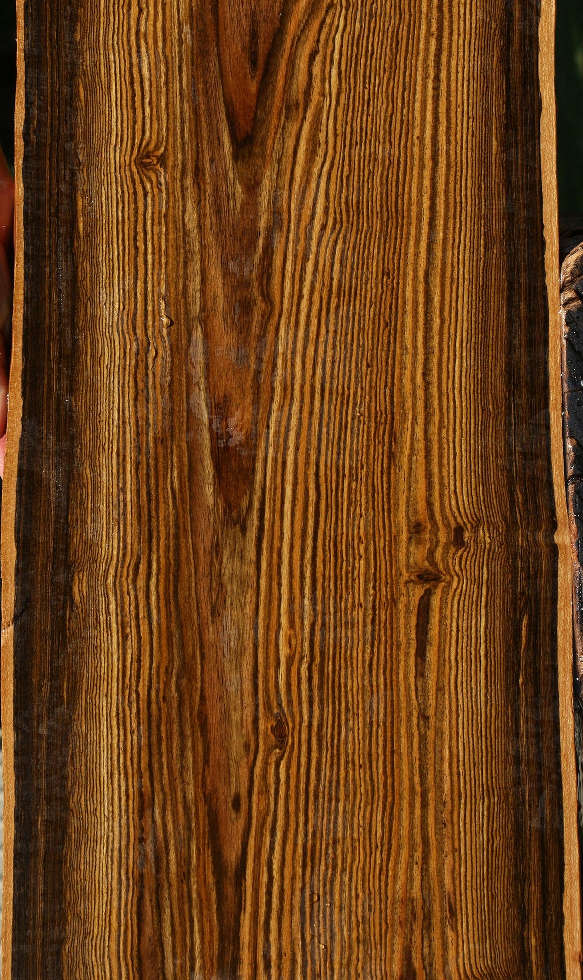 Figured Bocote Live Edge Lumber