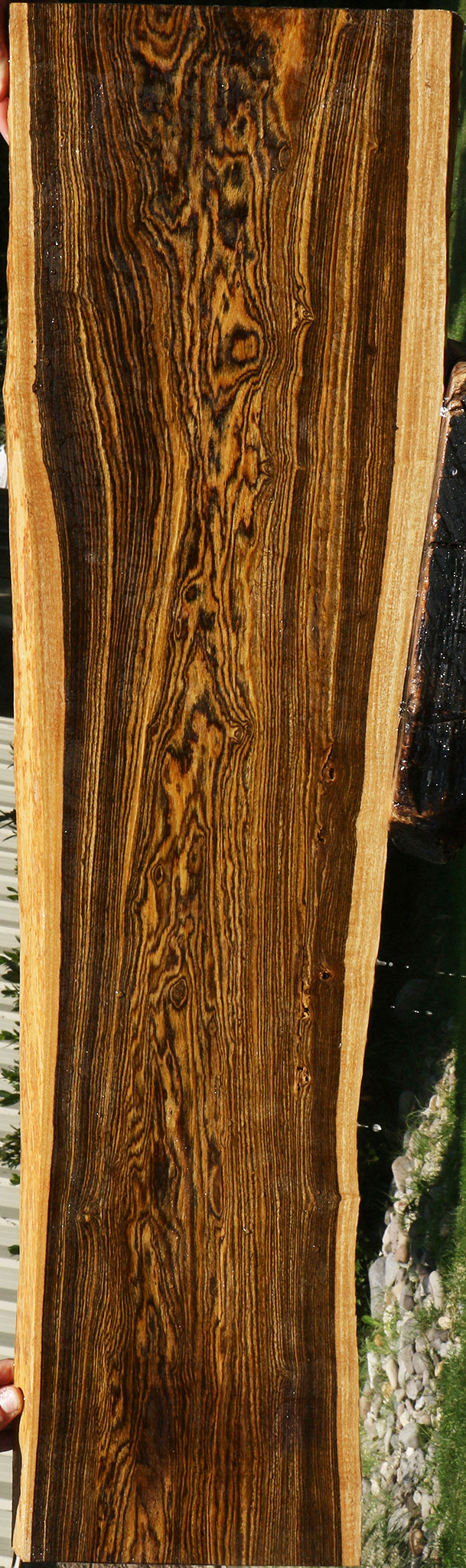 Extra Fancy Bocote Live Edge Lumber