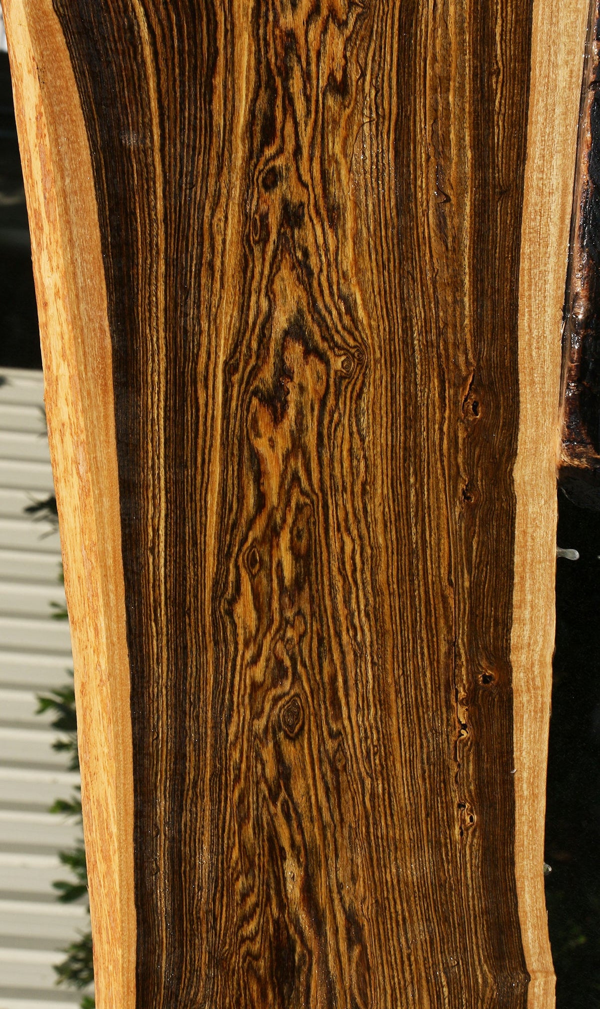 Extra Fancy Bocote Live Edge Lumber