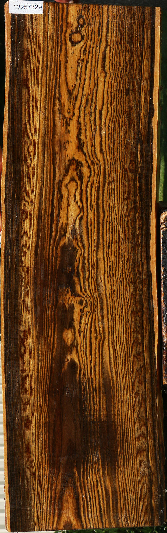 Bocote Live Edge Lumber