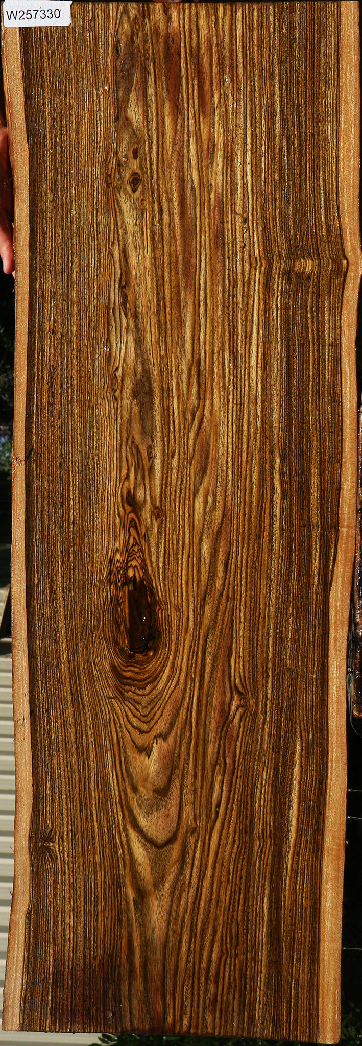 Bocote Live Edge Lumber
