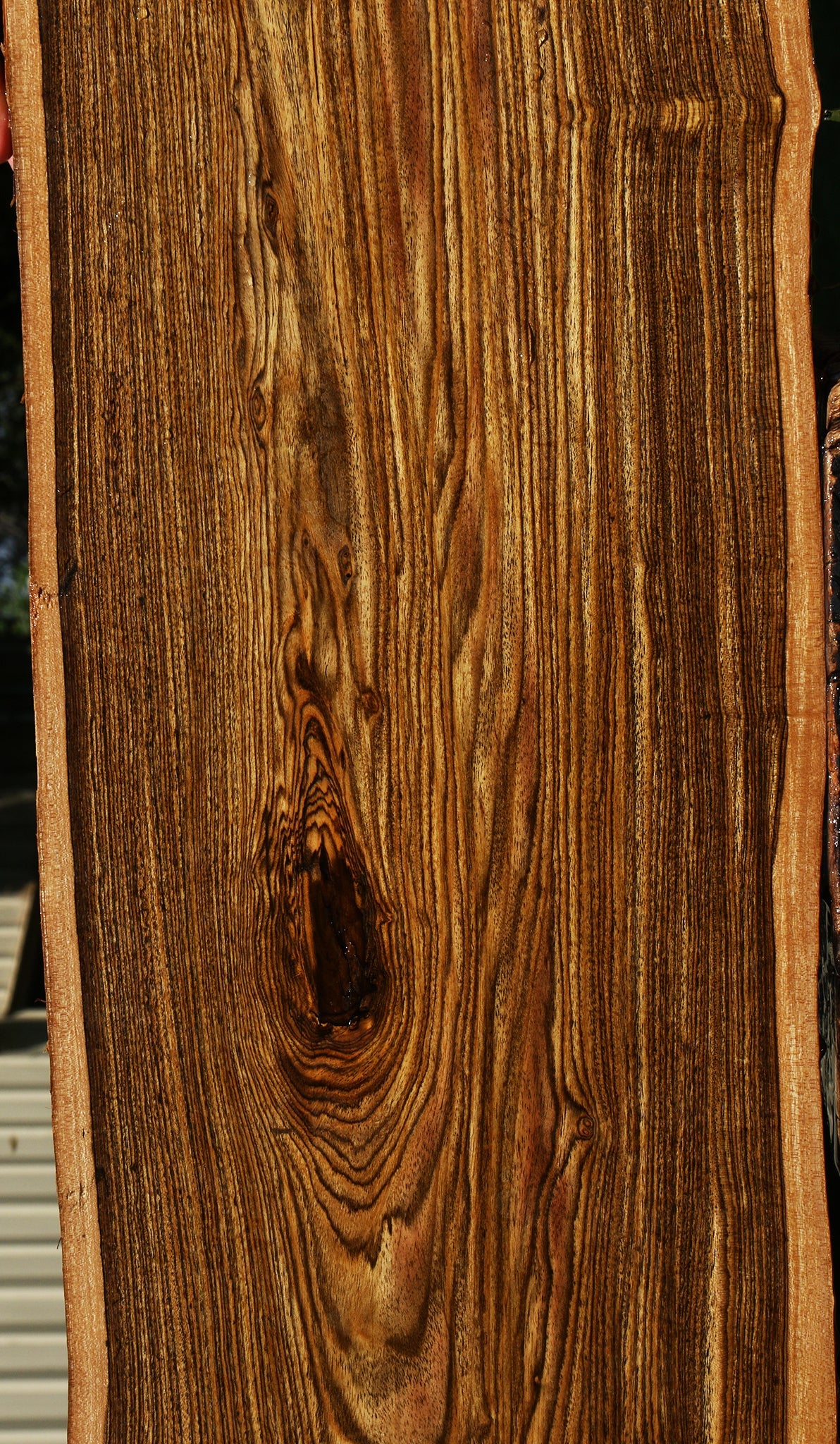 Bocote Live Edge Lumber