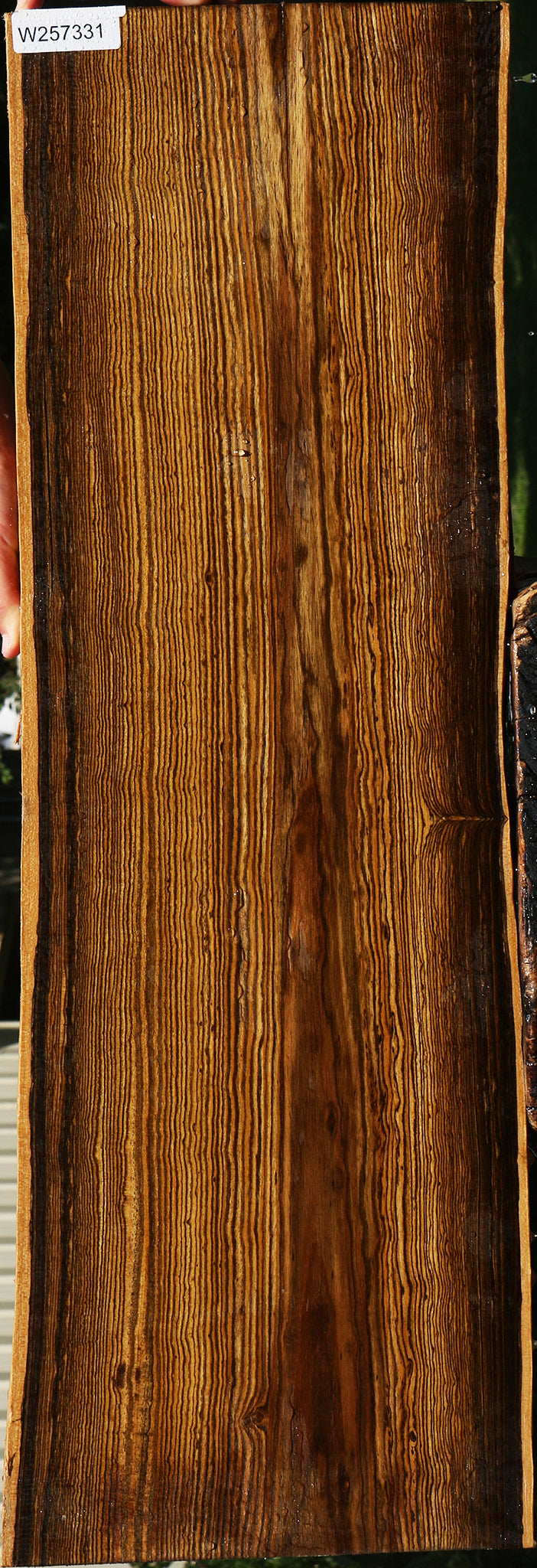 Bocote Live Edge Lumber