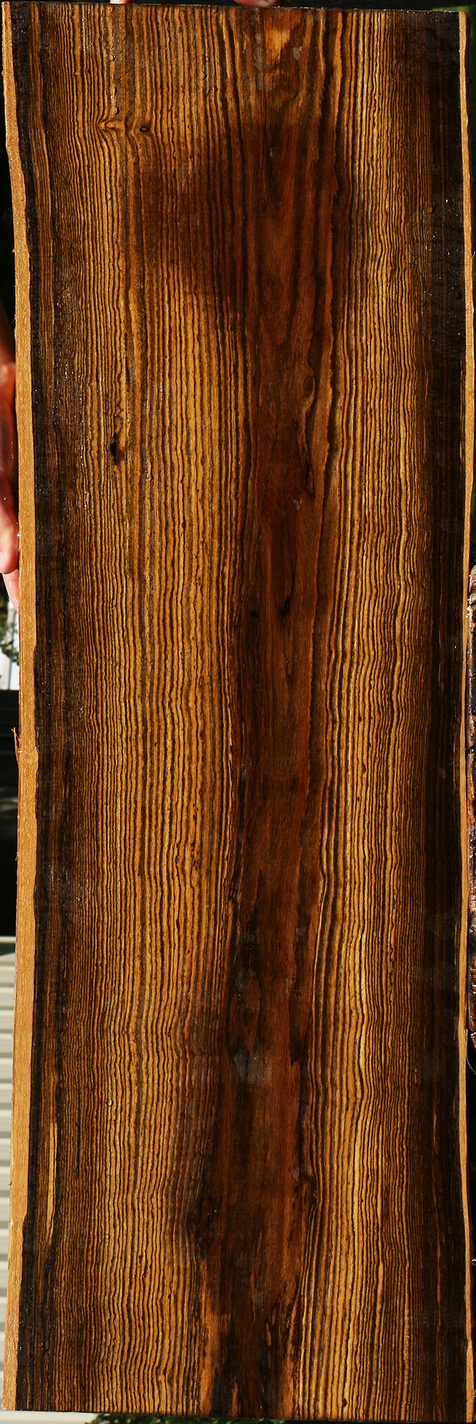 Bocote Live Edge Lumber