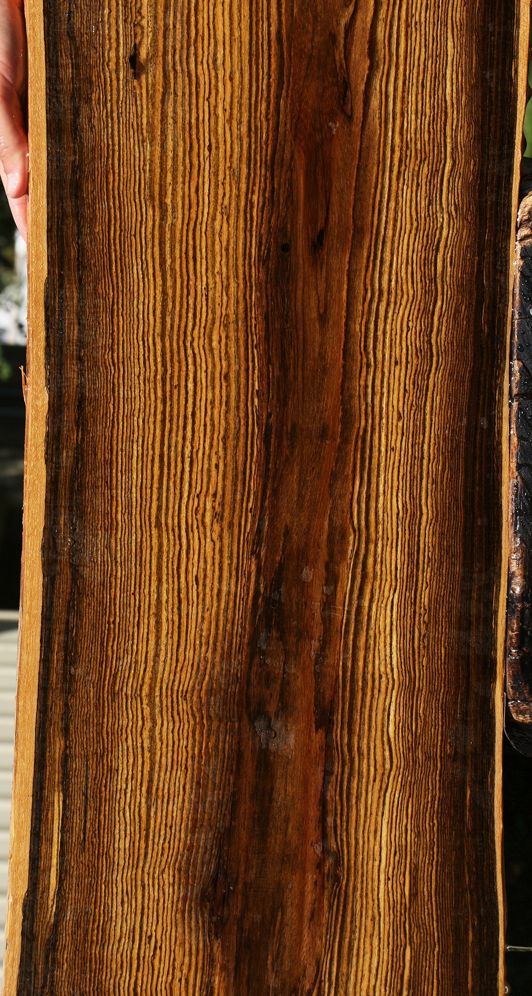 Bocote Live Edge Lumber