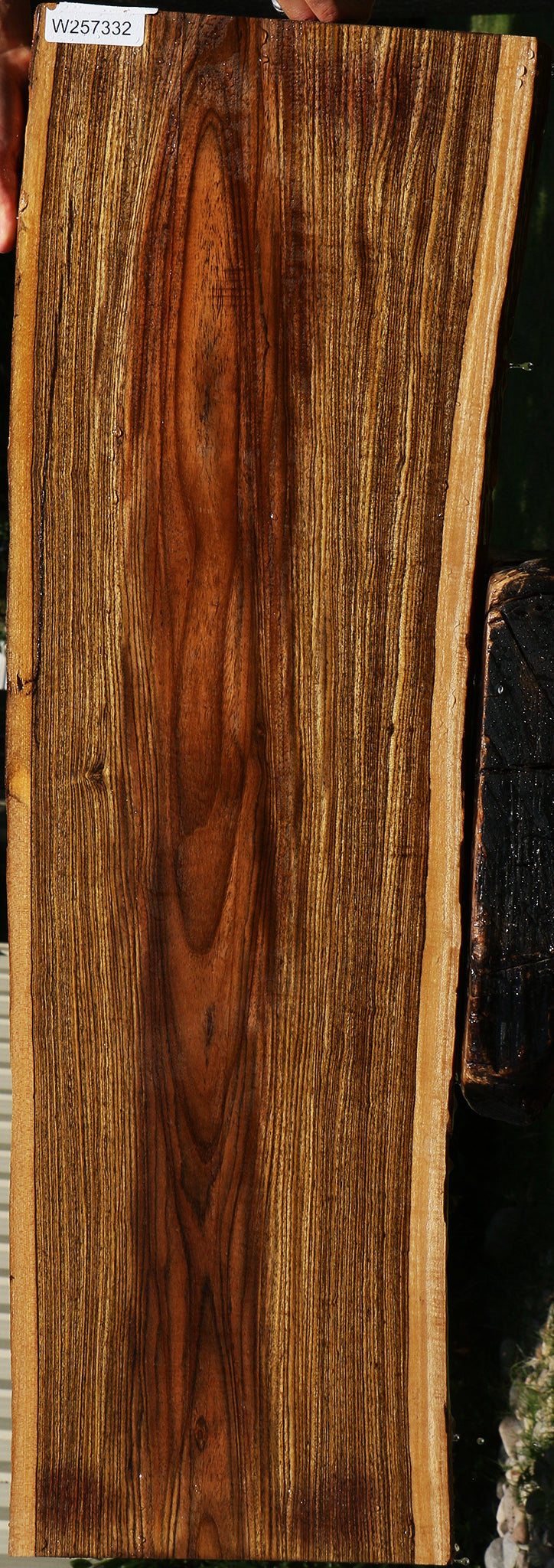 Bocote Live Edge Lumber