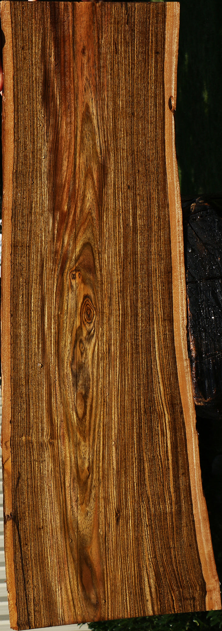 Bocote Live Edge Lumber