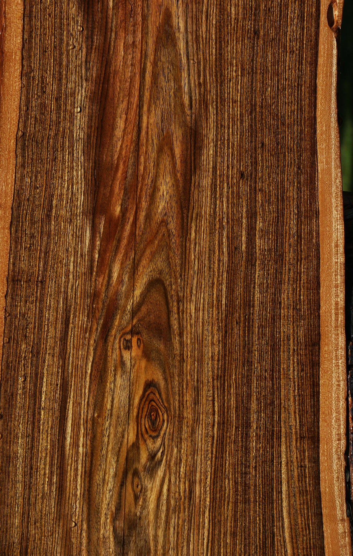 Bocote Live Edge Lumber