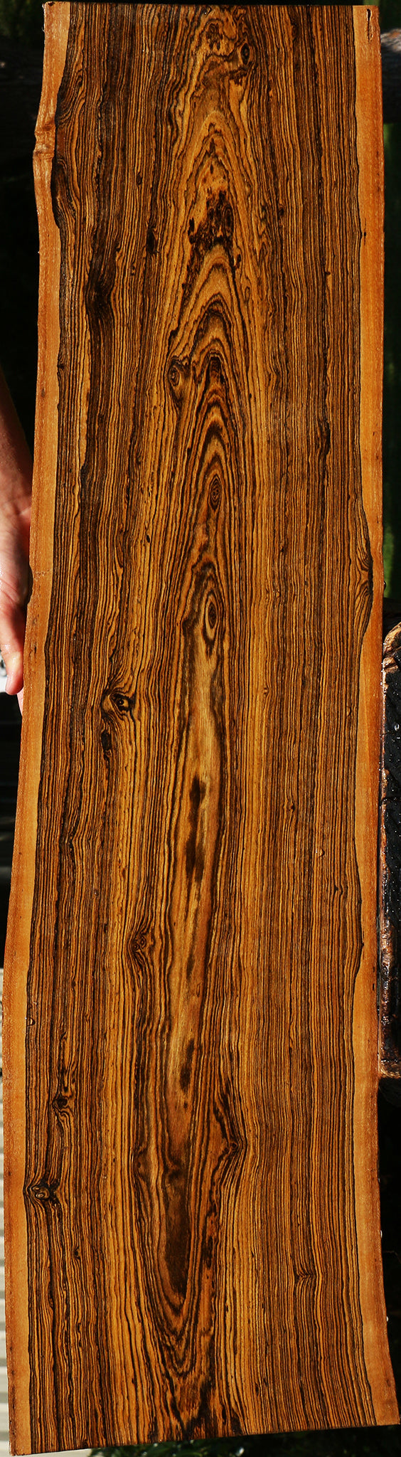 Extra Fancy Bocote Live Edge Lumber