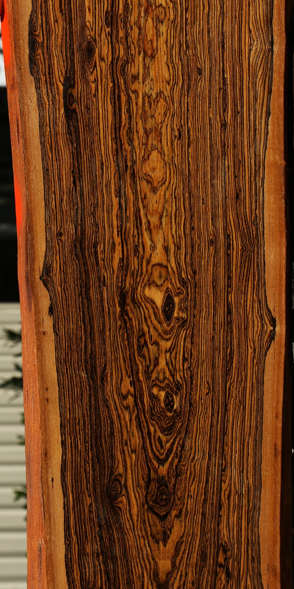 Extra Fancy Bocote Live Edge Lumber