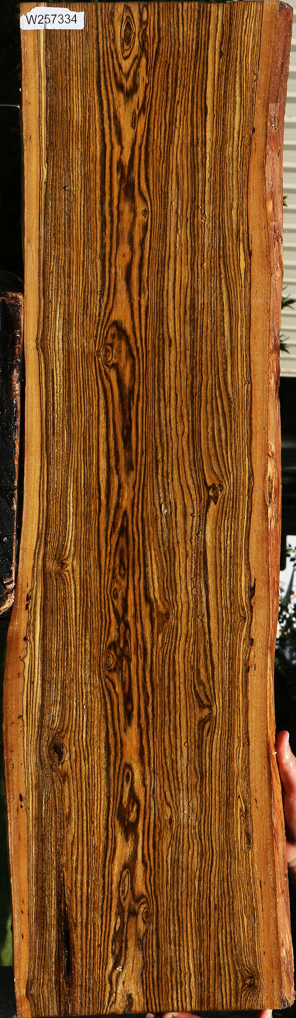 Bocote Live Edge Lumber