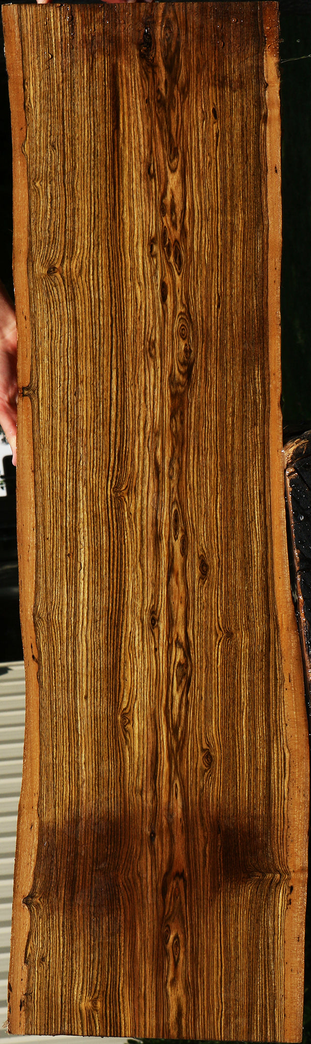 Bocote Live Edge Lumber