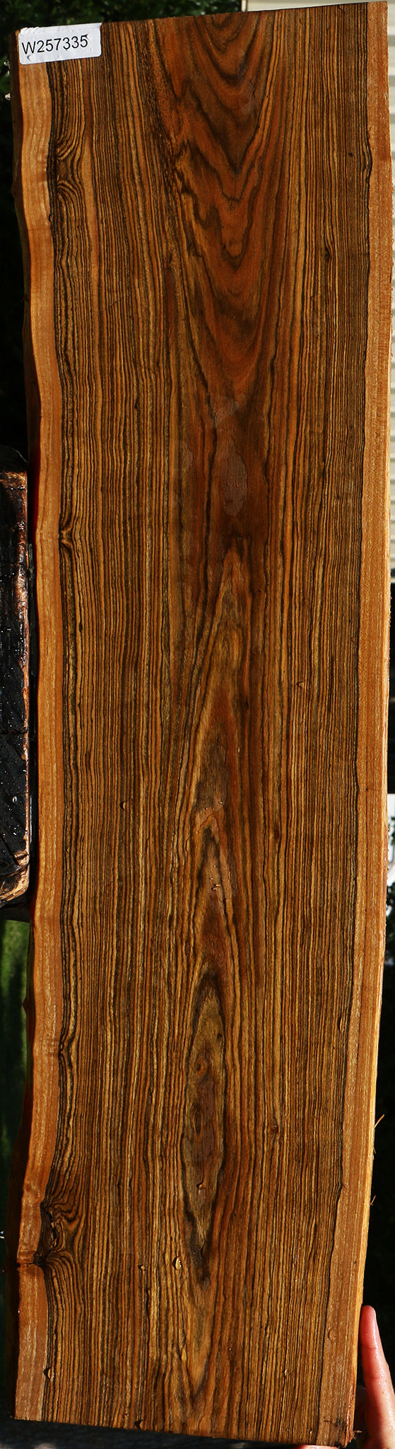 Bocote Live Edge Lumber