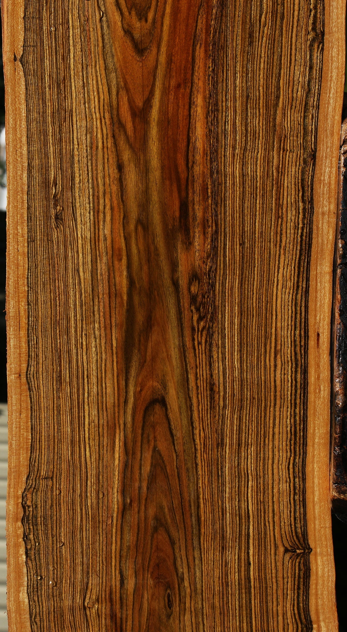Bocote Live Edge Lumber